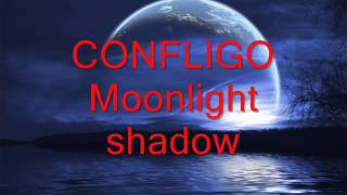 Watch Confligo Moonlight Shadow video