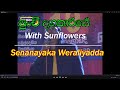 Punchi Dagakariye with Sunflowers Senanayaka Weraliyadda