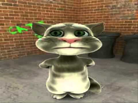 taLking tom cat MIMICRY by praveen(telugu).wmv
