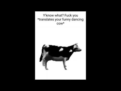 cow.mp4