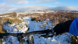Found the snow