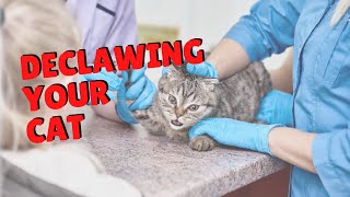 Declawing Cats