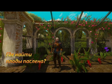 Как определить беременность на раннем сроке Зинченко Нина Аркадьевна акушер-гинеколог, гинеколог
