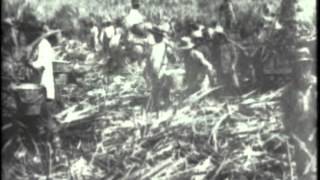 Watch Leaves Suppose video