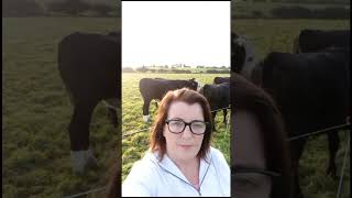 Anne Baker Of North Cork Backs Francie Gorman For Ifa President