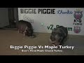 Biggie Piggie Vs Boar's Head Maple Glazed Turkey