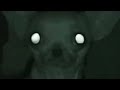 Alien Captured by NASA full video