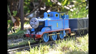 Gauge 1 Replicas In Garden