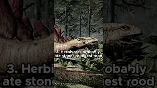 Top 4 Crazy Dino Facts You Didnt Know
