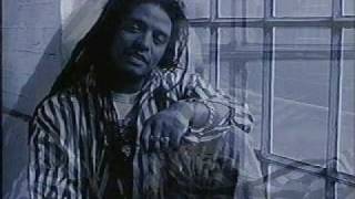 Watch Maxi Priest Some Guys Have All The Luck video