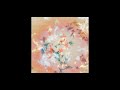Bibio - Look at Orion!