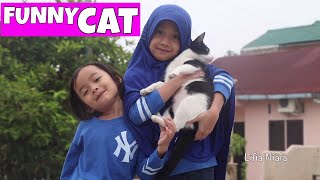 Kucing Lucu - Funny Cat Lifia Niala Elsa