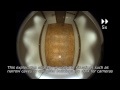 mit Robot Electronics Autonomy