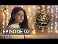 Aik Larki Aam Si Episode #02 HUM TV Drama 20 June 2018