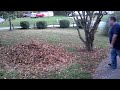 Big guy jumps into leaf pile