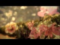 パーシャクラブ ファムレウタ
