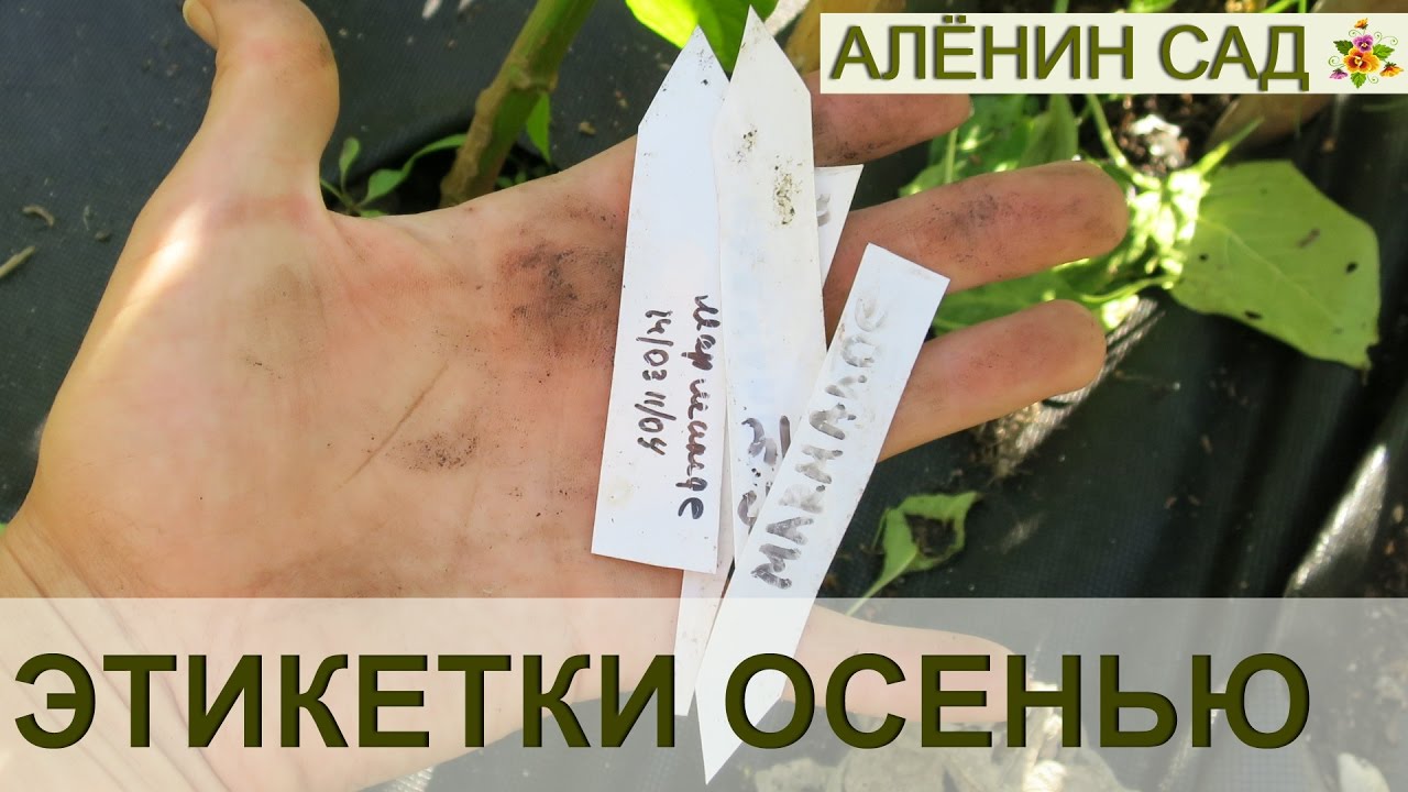 Бирки для сада своими руками Бирки для сада своими руками