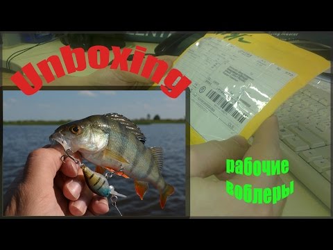 китайские прикормки с алиэкспресс китайские прикормки с алиэкспресс