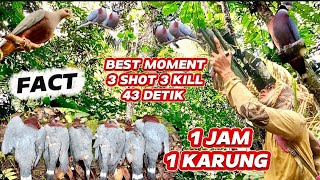 Berburu Pergam Jumbobest Momentsfact3 Shot 3 Kill 43 Detik