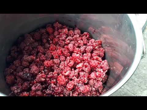 ЯГОДА МАЛИНА ЯГОДА МАЛИНА