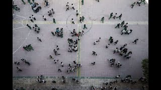 من 3 ابتدائي لـ 3 إعدادي.. كيفية عمل المشروع البحثي