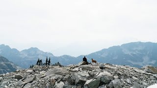 Into The Alpine