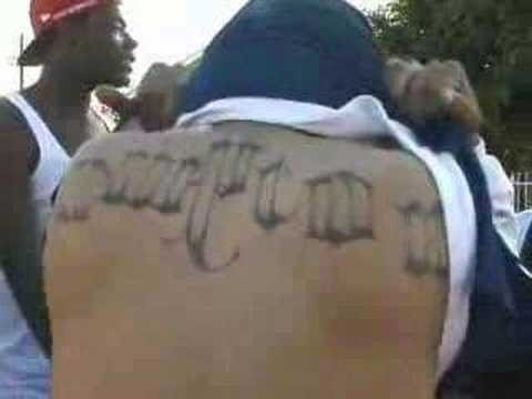 origin of bloods and crips