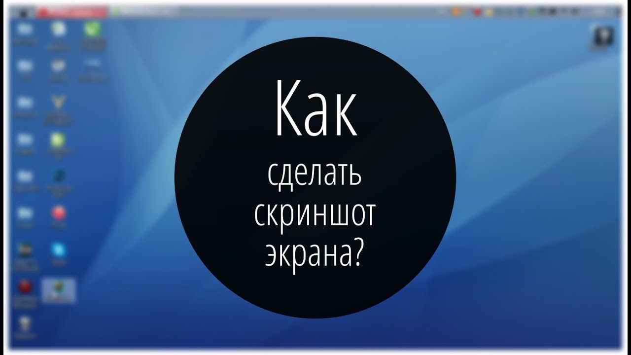 Учебные заведения по дизайну в санкт-петербурге Учебные заведения по дизайну в санкт-петербурге