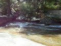 Yosemite - Lewis Creek - Between Bernice Lake and Merced Lake