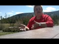 Buzzbooster #31 Article marketing, when technology gets in the way and some geocaching