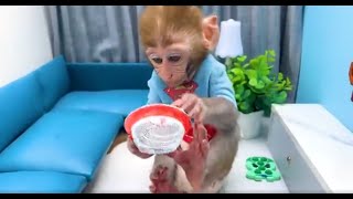 Monkey Baby Bon Bon Doing Shopping In  Eggs Toy Store And Brush Teeth In The Toilet