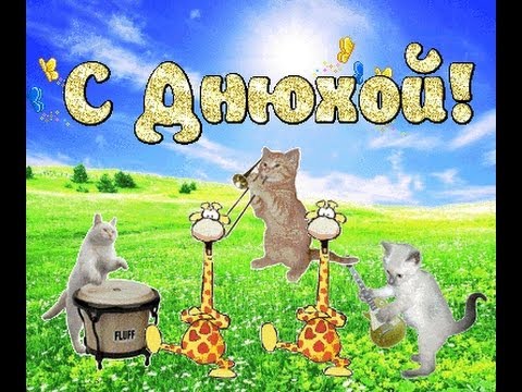 Самые банальные поздравления с др 77