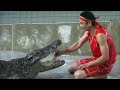 Crocodile