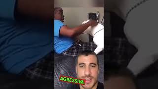Nunca Grite Com O Pitbull Nessa Situação