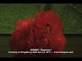MOMIX: "Botanica" at Kingsbury Hall