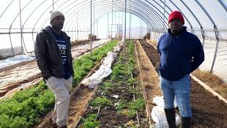 Focus Urban Farms