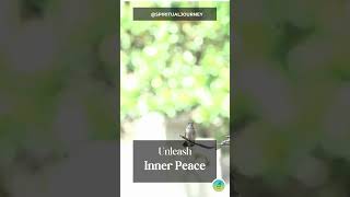 Unleash Inner Peace