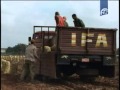 NOTICIERO ESTELAR Febrero 12 2013