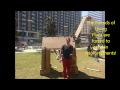 cardboard animals