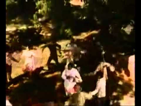 Yeh Reshmi Zulfein - Do Raaste