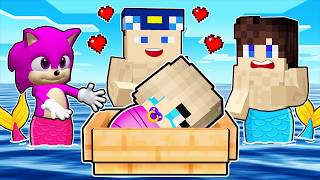 Berca Vs Mi̇necraft