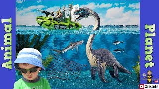 Pretend Play Animal Plane Unboxingt Deep Sea Dino Adventure Play Set Elasmosaurus