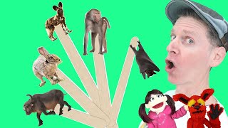 African Wild Animals | Pop Sticks Song With Matt | Dream English Kids