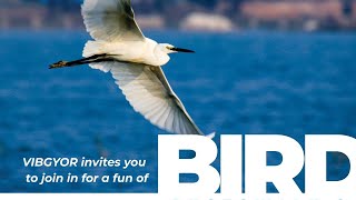 Start your Bird Photography