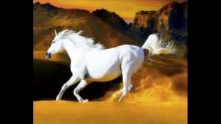 Watch Jose Alfredo Jimenez El Caballo Blanco video