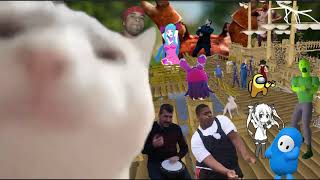 Cat Vibing To Sea Shanty 2 Phatbeatz Remix