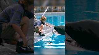 The Boy Tamed An Orca.