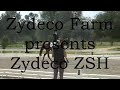 Zydeco ZSH: Iroko x Michellino x Vivaldi