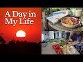 A Day in my Life : 15th April, 2024