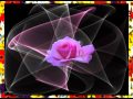 SAN VALENTIN - POEMAS DE AMOR